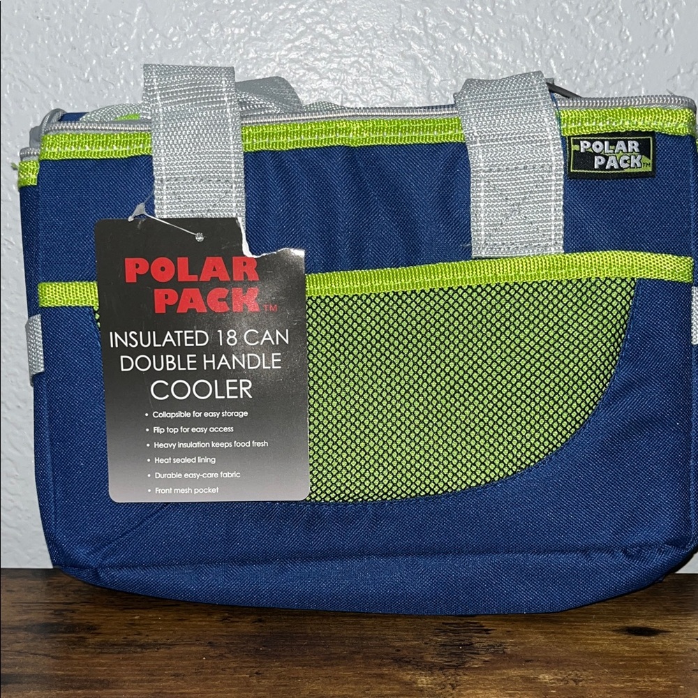 Blue and Green Insulated Cooler Bag NWT!!